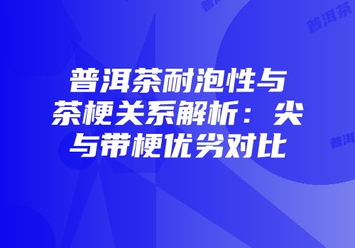 普洱茶耐泡性与茶梗关系解析：尖与带梗优劣对比