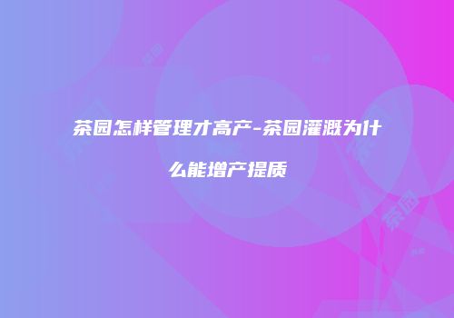 茶园怎样管理才高产-茶园灌溉为什么能增产提质
