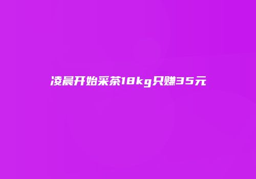 凌晨开始采茶18kg只赚35元