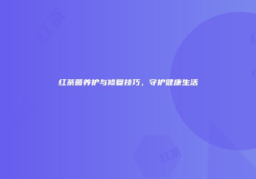 红茶菌养护与修复技巧，守护健康生活