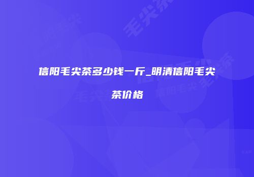信阳毛尖茶多少钱一斤_明清信阳毛尖茶价格