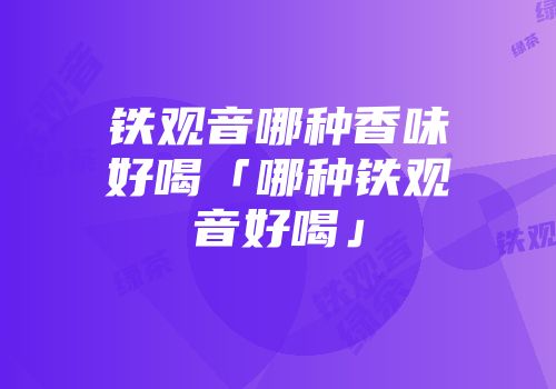 铁观音哪种香味好喝「哪种铁观音好喝」