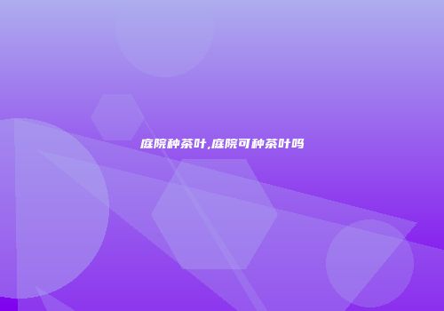 庭院种茶叶,庭院可种茶叶吗