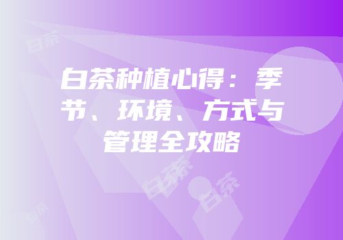 白茶种植心得：季节、环境、方式与管理全攻略