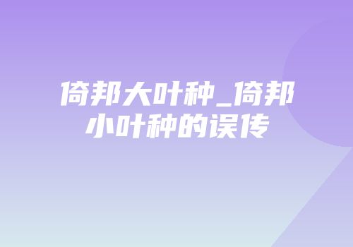 倚邦大叶种_倚邦小叶种的误传