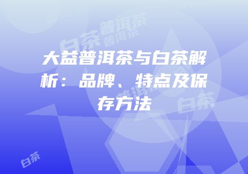 大益普洱茶与白茶解析：品牌、特点及保存方法