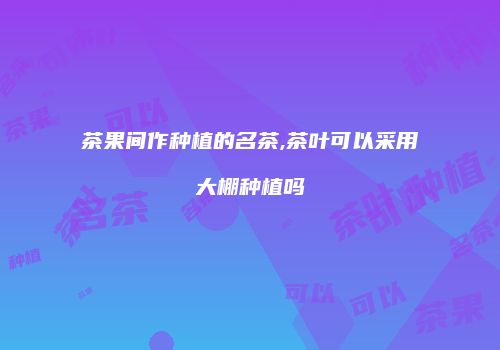 茶果间作种植的名茶,茶叶可以采用大棚种植吗