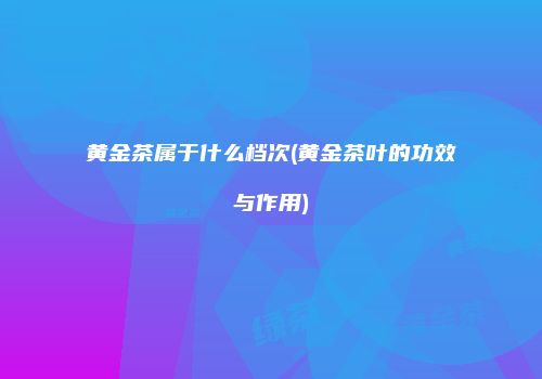 黄金茶属于什么档次(黄金茶叶的功效与作用)