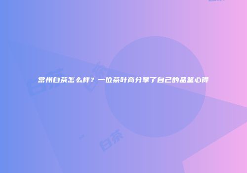 常州白茶怎么样？一位茶叶商分享了自己的品鉴心得