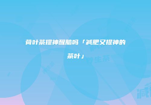 荷叶茶提神醒脑吗「减肥又提神的茶叶」