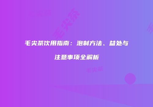 毛尖茶饮用指南：泡制方法、益处与注意事项全解析