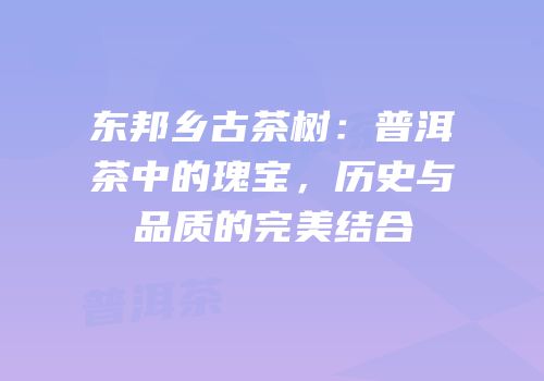东邦乡古茶树：普洱茶中的瑰宝，历史与品质的完美结合