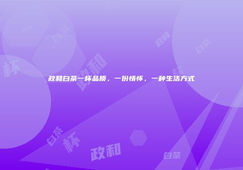 政和白茶一杯品质，一份情怀，一种生活方式