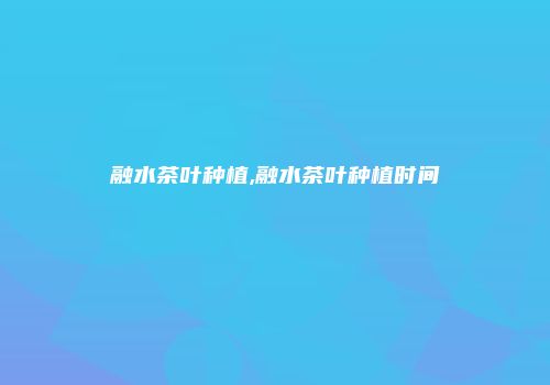 融水茶叶种植,融水茶叶种植时间