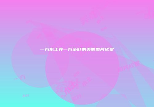 一方水土养一方茶叶的美丽图片欣赏