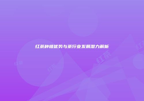 红茶种植优势与茶行业发展潜力解析