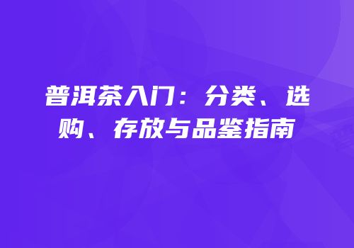 普洱茶入门：分类、选购、存放与品鉴指南