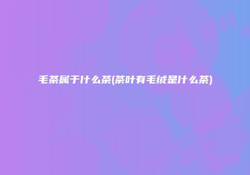 毛茶属于什么茶(茶叶有毛绒是什么茶)