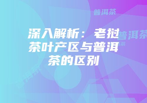 深入解析：老挝茶叶产区与普洱茶的区别