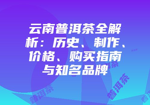 云南普洱茶全解析：历史、制作、价格、购买指南与知名品牌