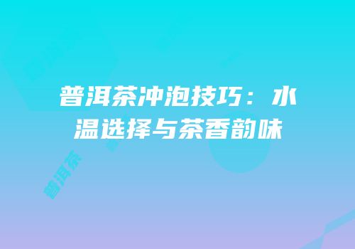 普洱茶冲泡技巧：水温选择与茶香韵味