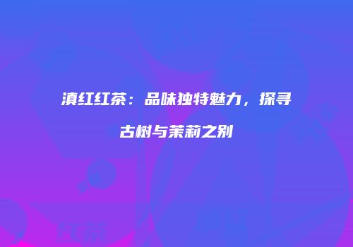 滇红红茶：品味独特魅力，探寻古树与茉莉之别