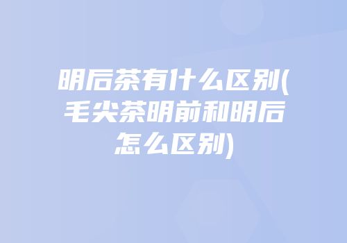明后茶有什么区别(毛尖茶明前和明后怎么区别)