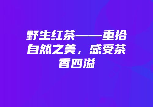 野生红茶——重拾自然之美，感受茶香四溢