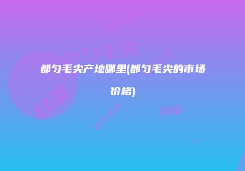 都匀毛尖产地哪里(都匀毛尖的市场价格)