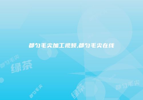 都匀毛尖加工视频,都匀毛尖在线