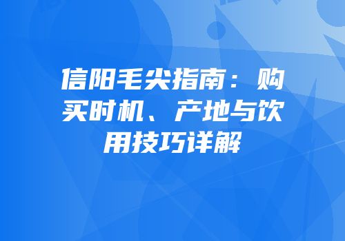 信阳毛尖指南：购买时机、产地与饮用技巧详解