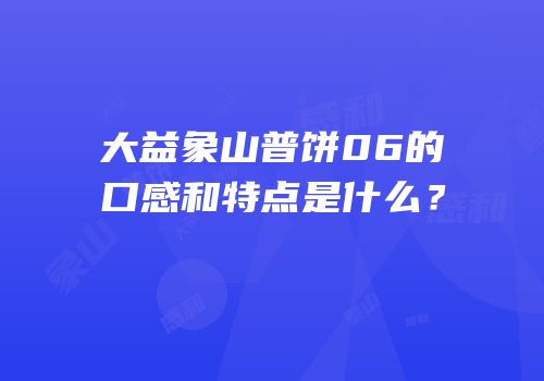 大益象山普饼06的口感和特点是什么？