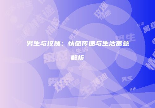 男生与玫瑰：情感传递与生活寓意解析