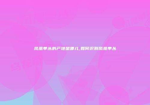 凤凰单丛的产地是哪儿,如何识别凤凰单丛