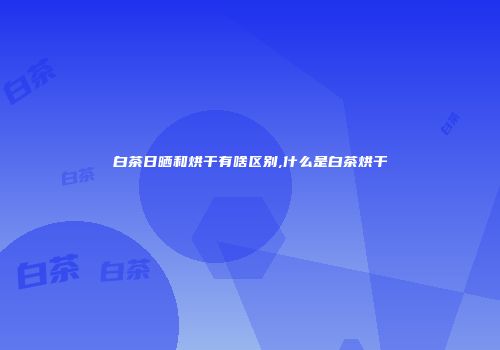 白茶日晒和烘干有啥区别,什么是白茶烘干