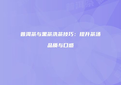 普洱茶与黑茶洗茶技巧：提升茶汤品质与口感