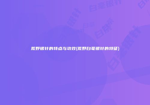 荒野银针的特点与功效(荒野白毫银针的特征)