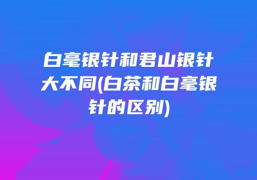 白毫银针和君山银针大不同(白茶和白毫银针的区别)