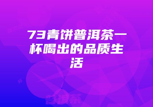 73青饼普洱茶一杯喝出的品质生活