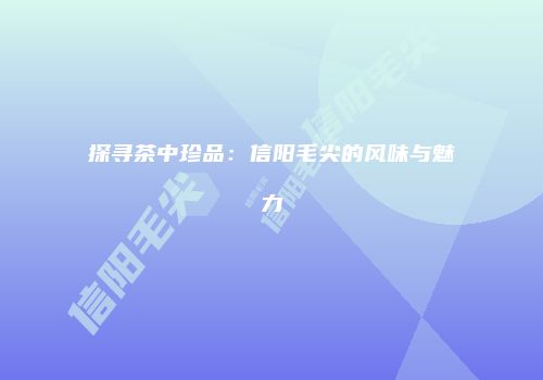 探寻茶中珍品：信阳毛尖的风味与魅力