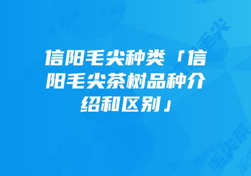信阳毛尖种类「信阳毛尖茶树品种介绍和区别」