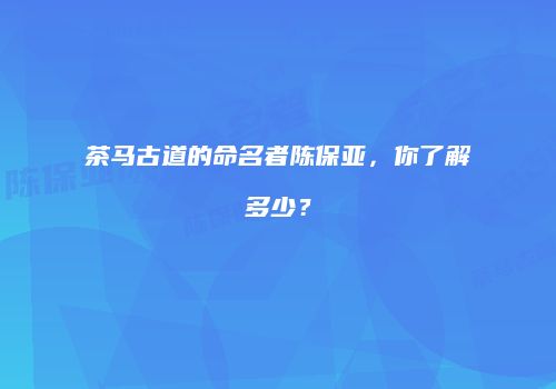 茶马古道的命名者陈保亚，你了解多少？