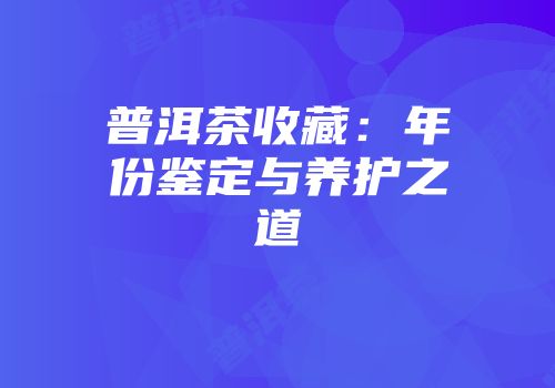 普洱茶收藏：年份鉴定与养护之道