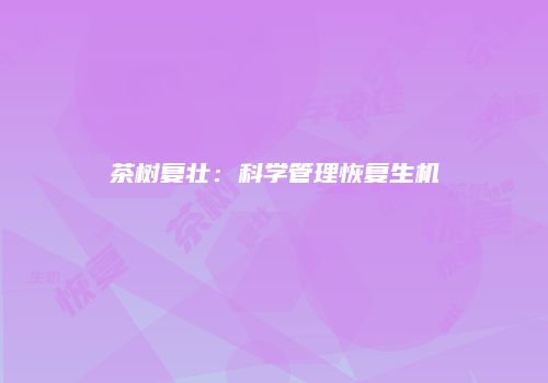 茶树复壮：科学管理恢复生机