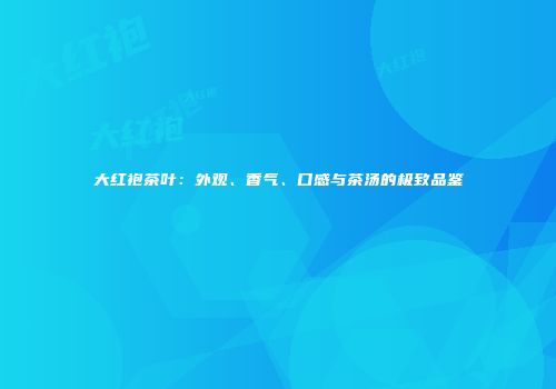 大红袍茶叶：外观、香气、口感与茶汤的极致品鉴
