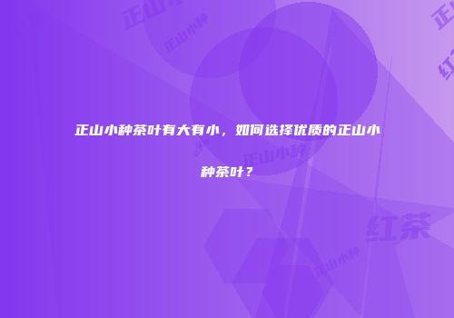 正山小种茶叶有大有小，如何选择优质的正山小种茶叶？
