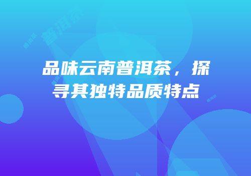 品味云南普洱茶，探寻其独特品质特点