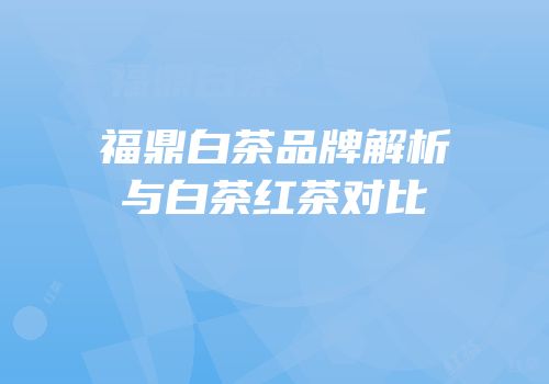 福鼎白茶品牌解析与白茶红茶对比