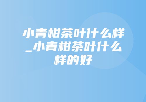 小青柑茶叶什么样_小青柑茶叶什么样的好