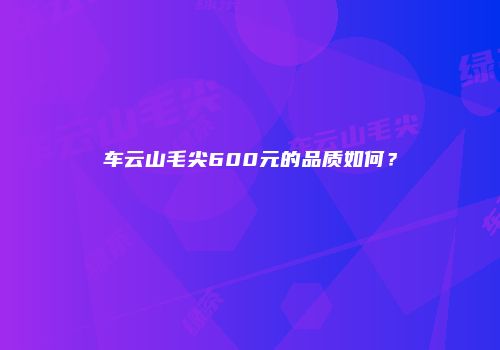 车云山毛尖600元的品质如何？